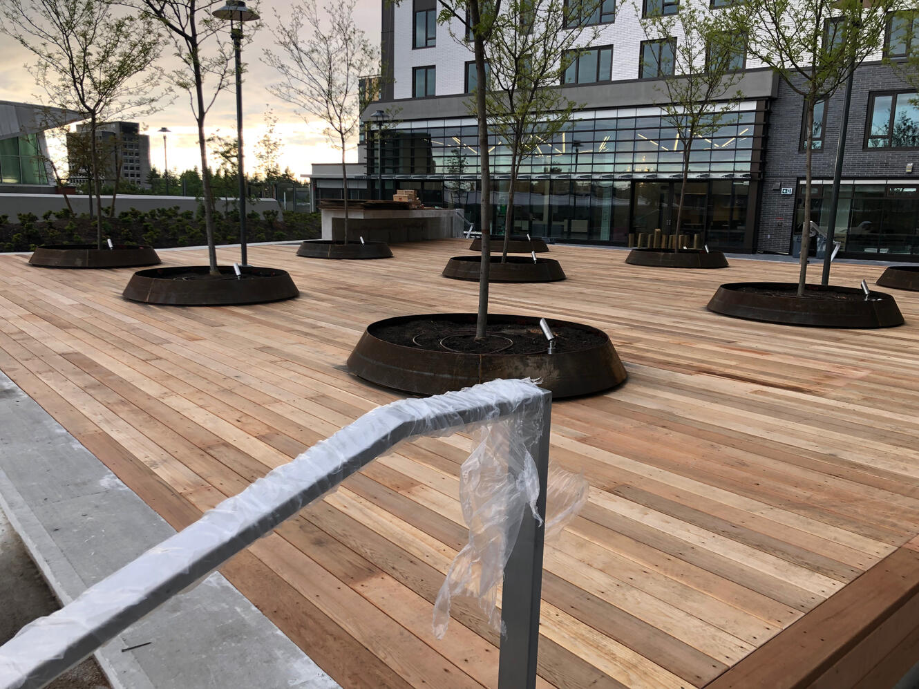 Faucibus nisl tincidunt